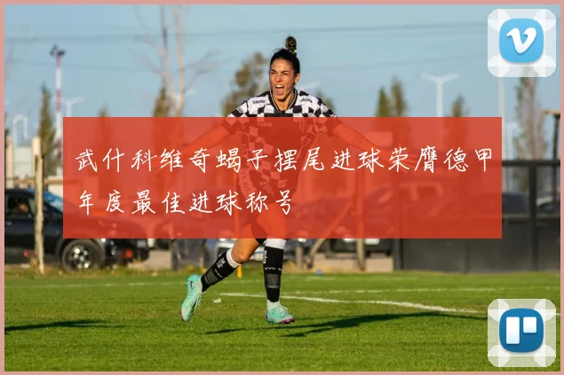 武什科维奇蝎子摆尾进球荣膺德甲年度最佳进球称号