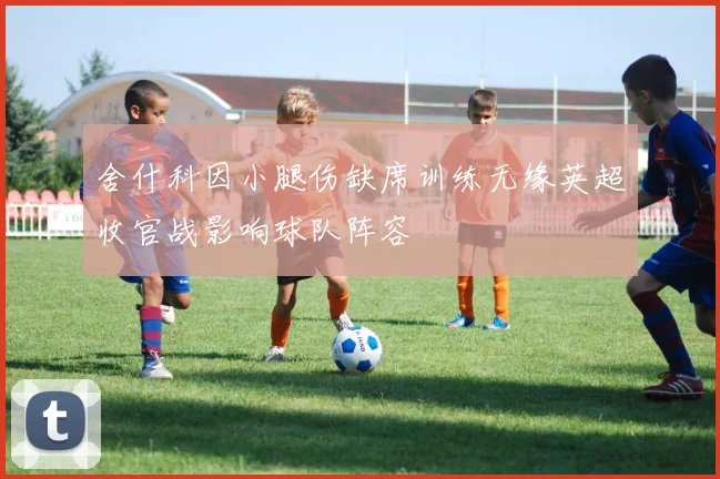 舍什科因小腿伤缺席训练无缘英超收官战影响球队阵容